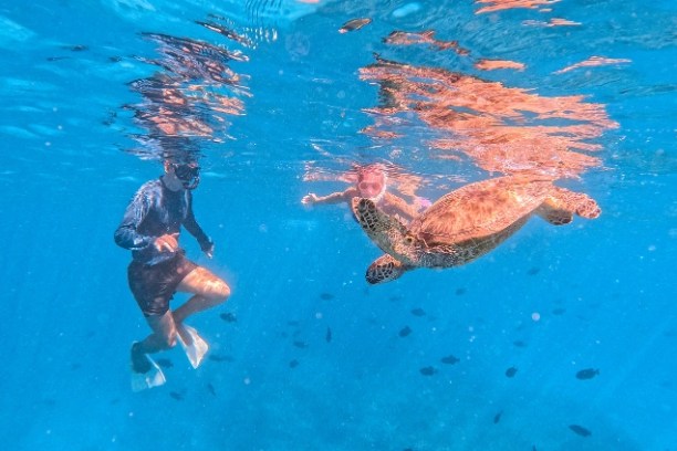 a man swimming in a pool of water