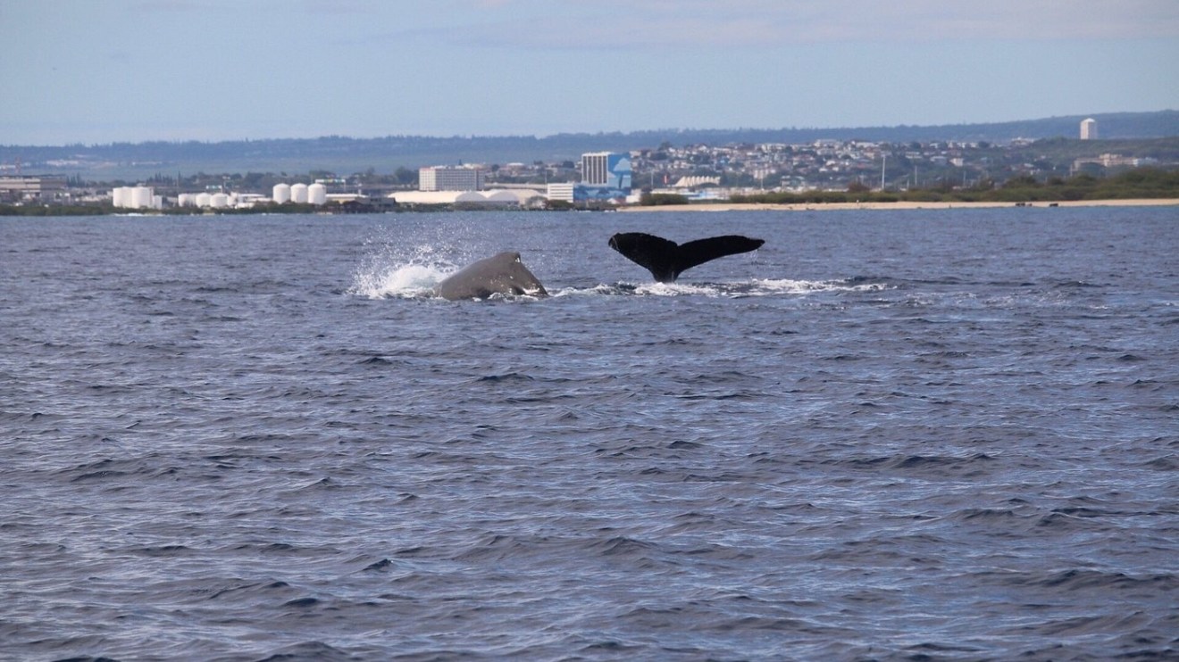 a large body of water