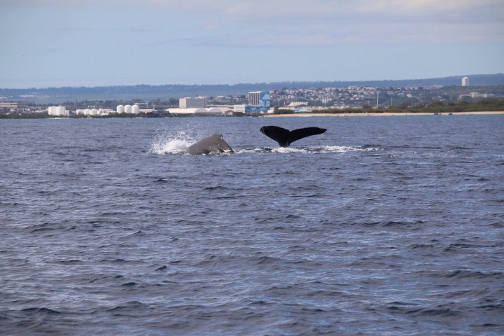 a large body of water