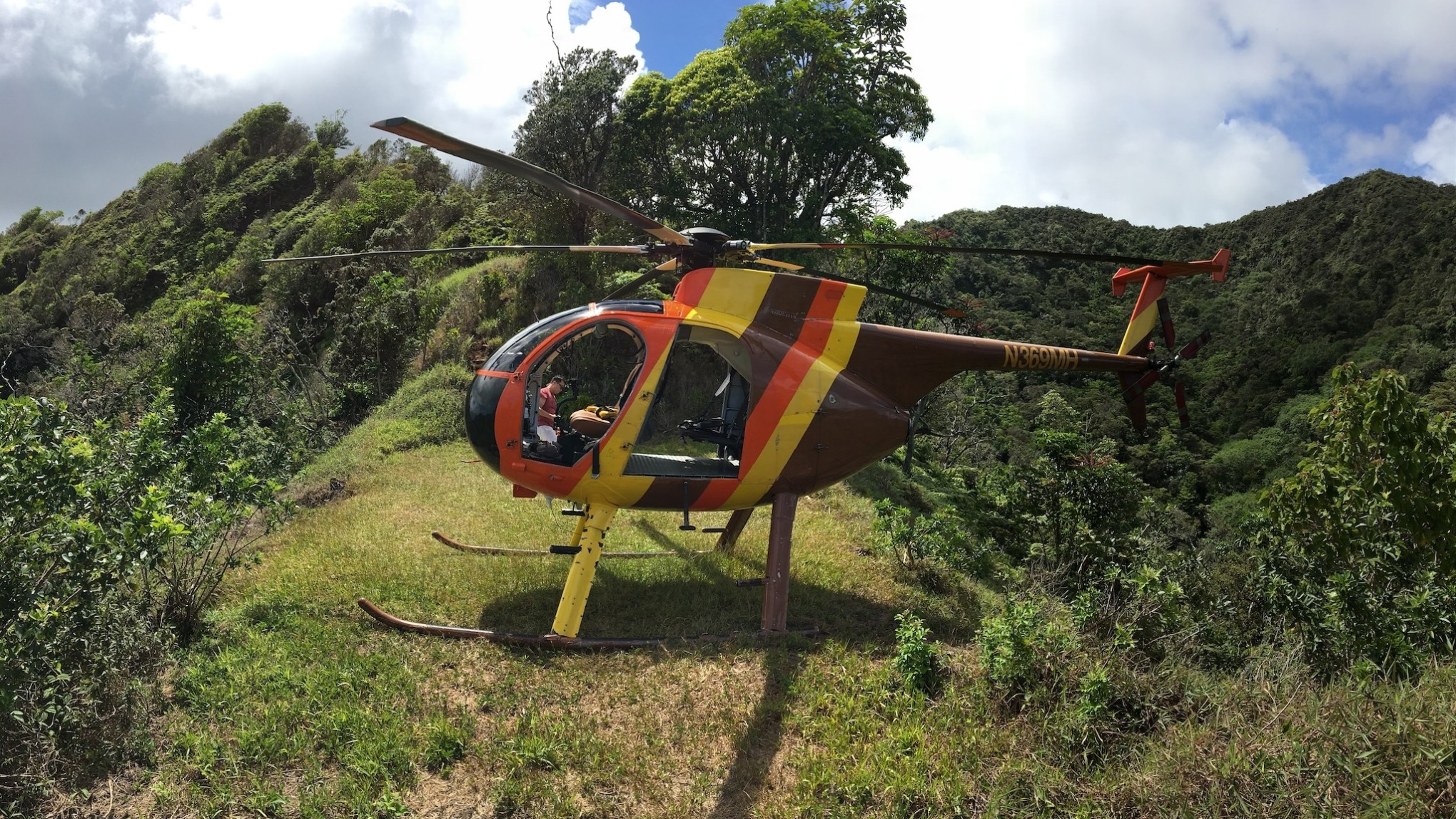a person flying a kite in a field