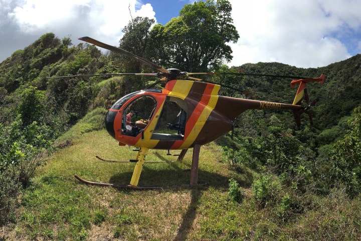 a person flying a kite in a field