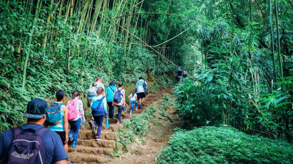 a group of people in a forest