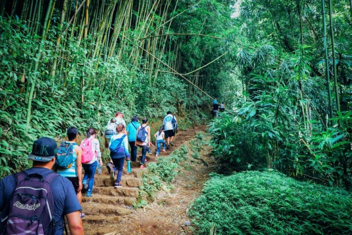 a group of people in a forest