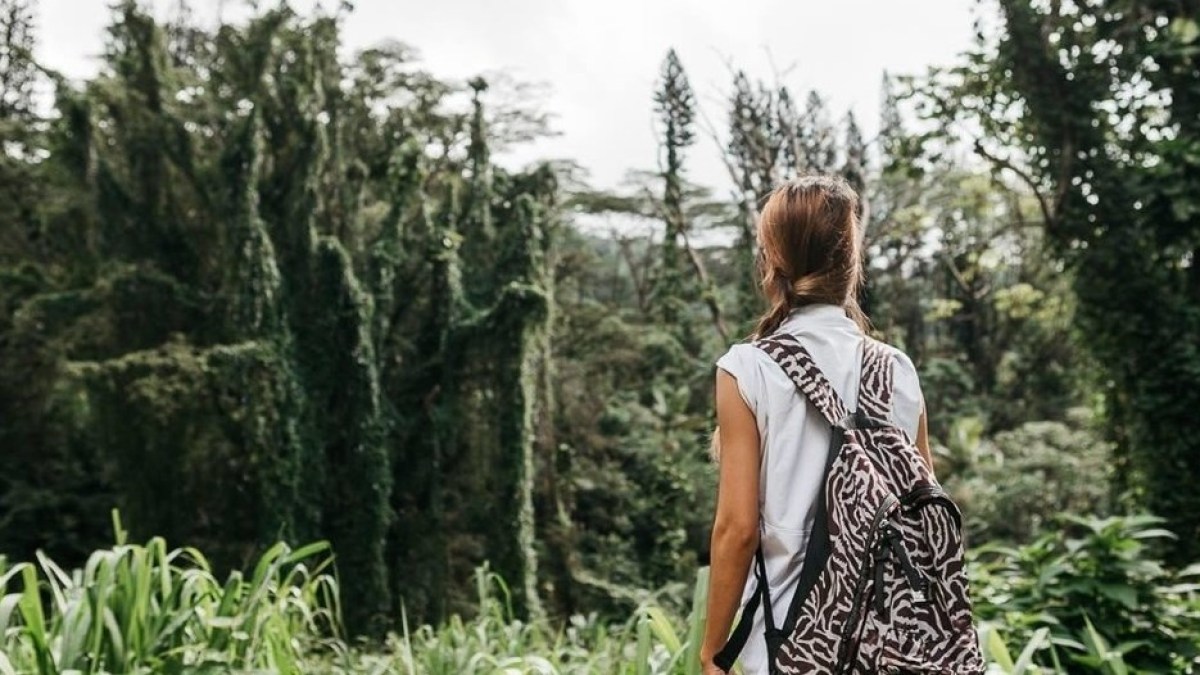 a person standing next to a forest