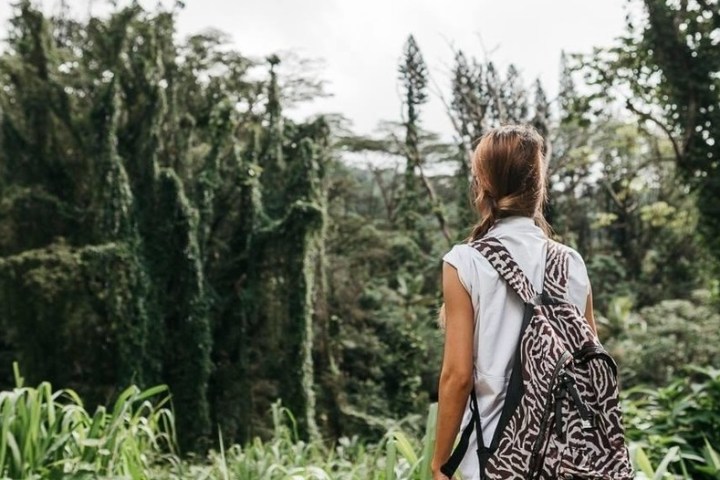 a person standing next to a forest