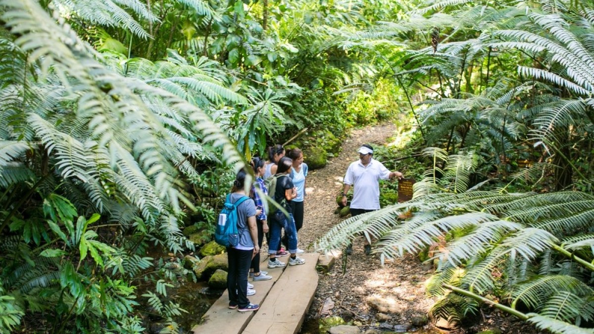 a statue of a man in a garden