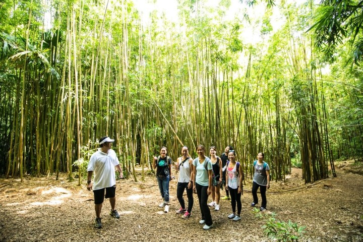a group of people standing next to a tree