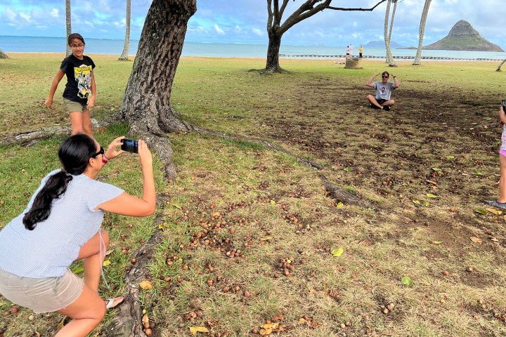 a little boy that is standing in the grass