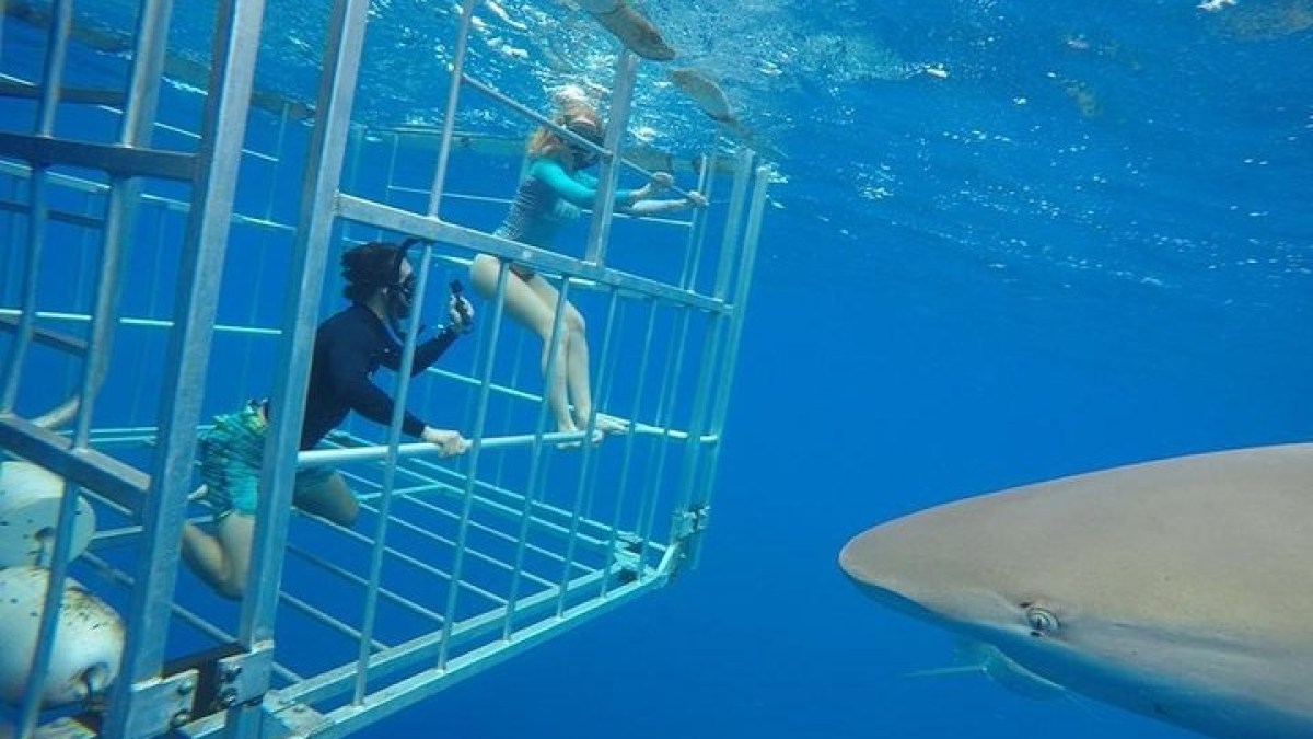 a blue pool of water