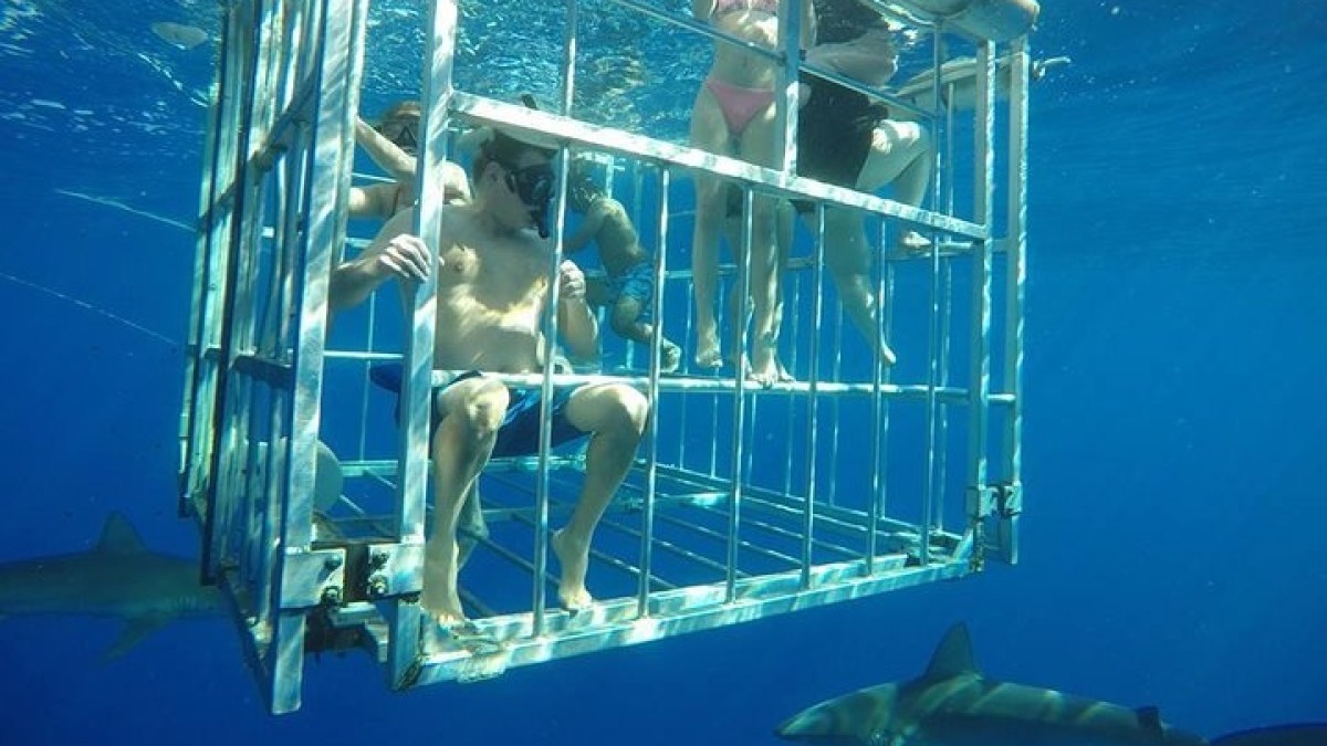 a person swimming in a cage