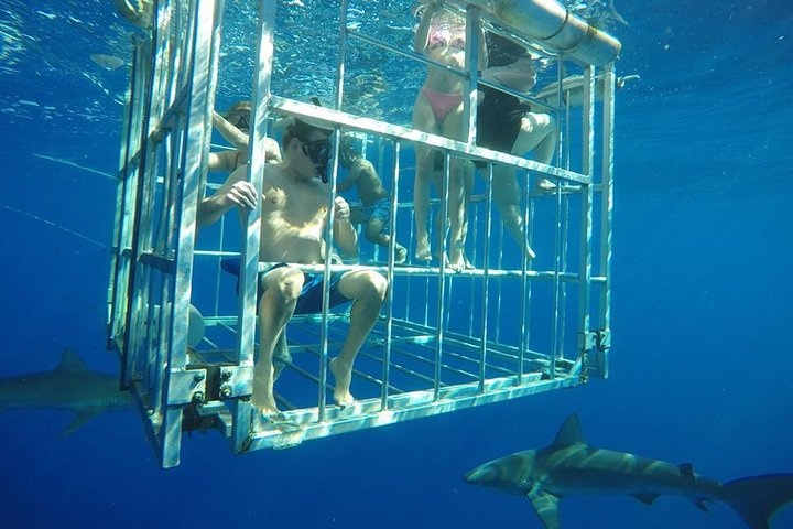 a person swimming in a cage