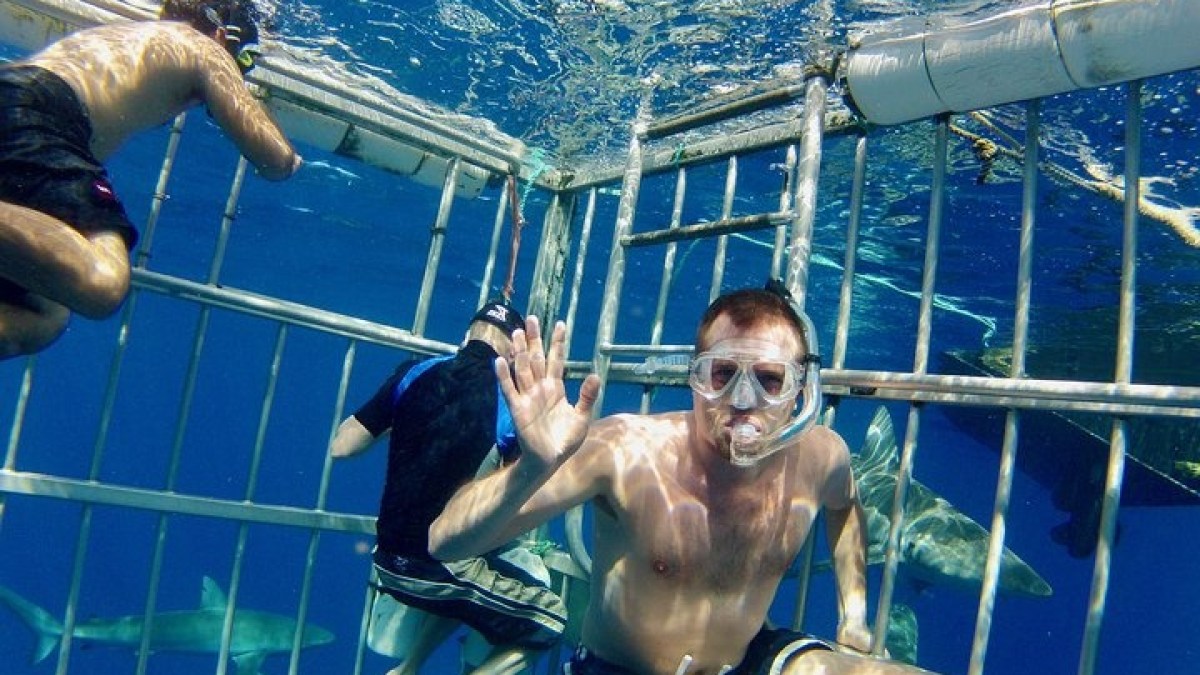 a group of people in a swimming pool