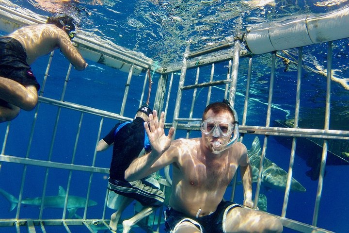 a group of people in a swimming pool