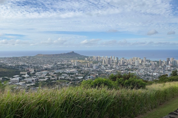 a close up of a hillside next to a body of water