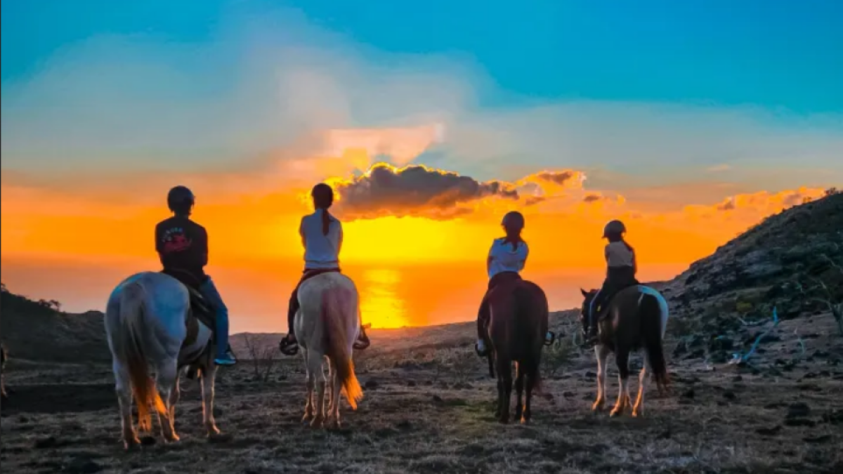 a group of people on a beach