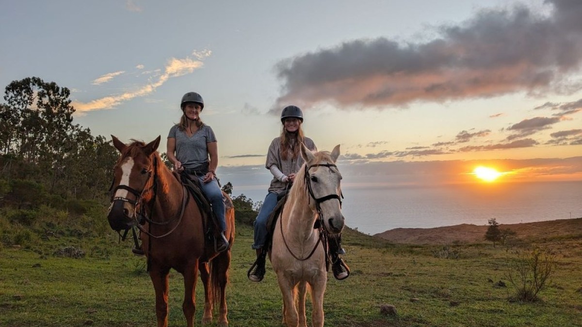 a man riding a horse in a field
