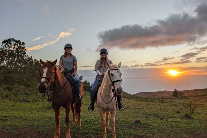 a man riding a horse in a field