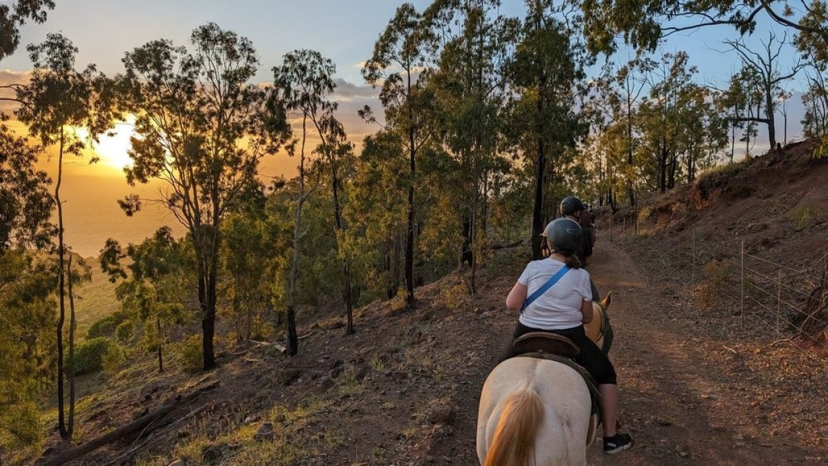 a man riding a horse