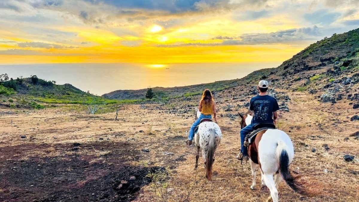 a man riding a horse on a beach