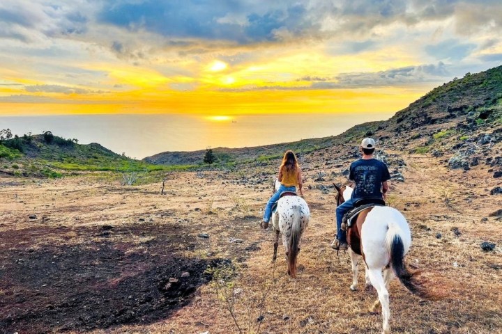 a man riding a horse on a beach