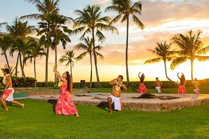 a group of people on a beach with a palm tree
