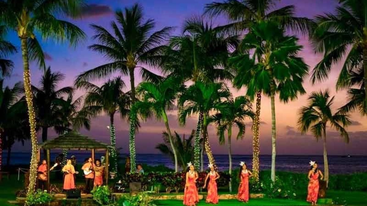 a group of palm trees next to a christmas tree