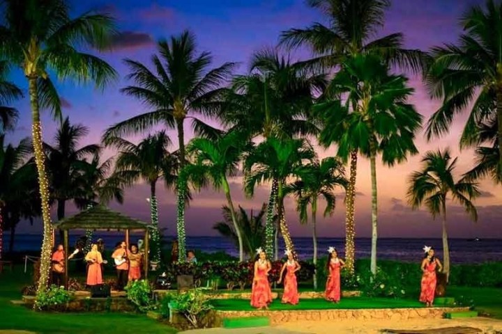 a group of palm trees next to a christmas tree