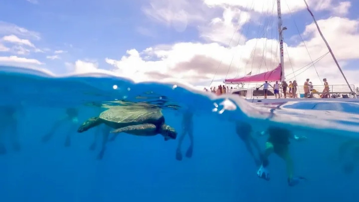 a close up of a boat next to a body of water