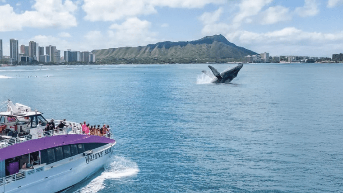 a boat traveling across a large body of water