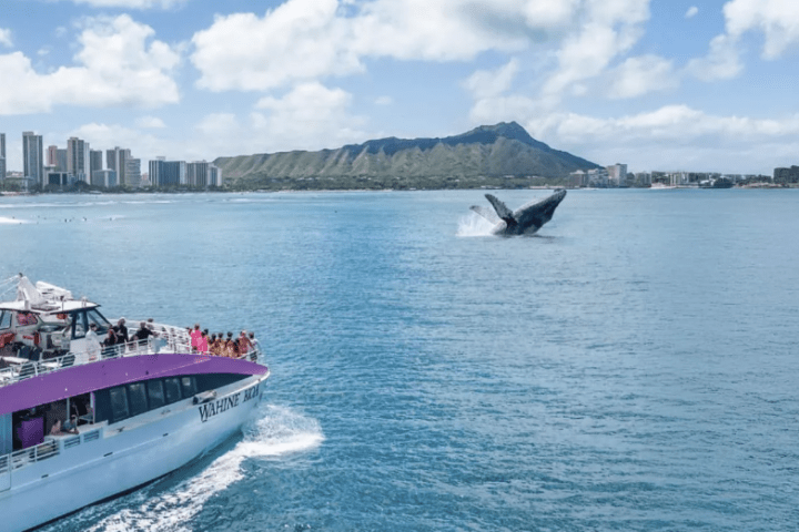 a boat traveling across a large body of water