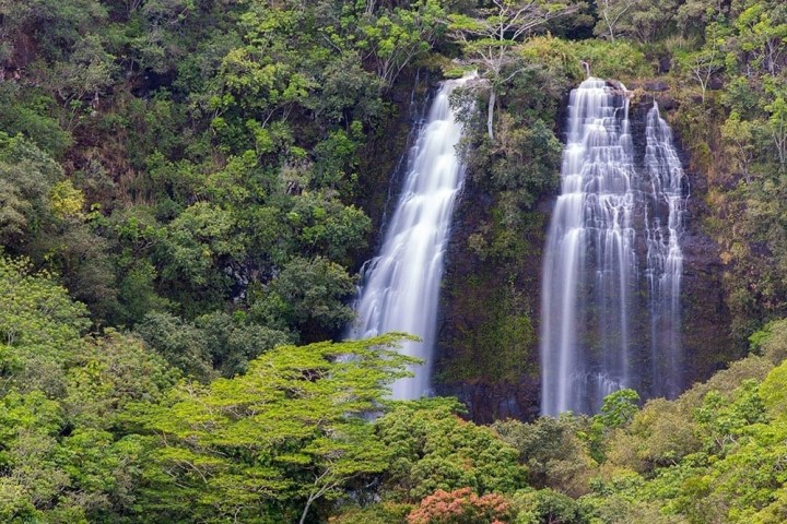 a large waterfall in a forest with Devon Falls in the background