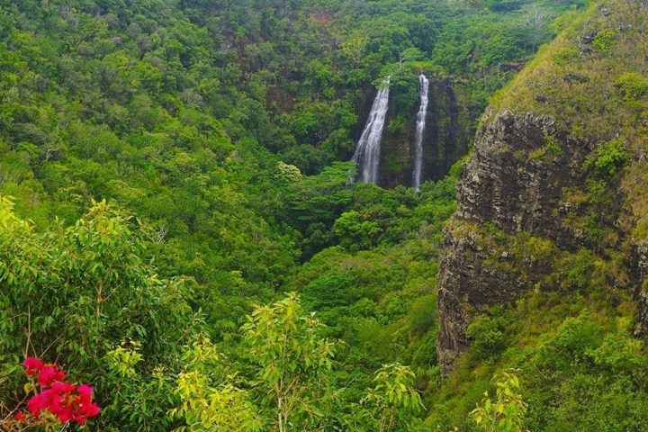 a large waterfall in a forest with Devon Falls in the background