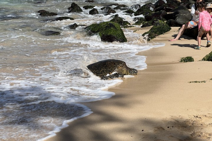 a person sitting on a sandy beach