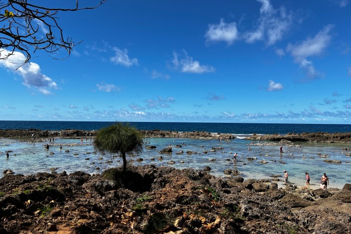 a group of people on a beach near a body of water