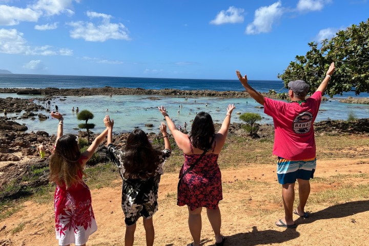 a group of people flying kites on a beach