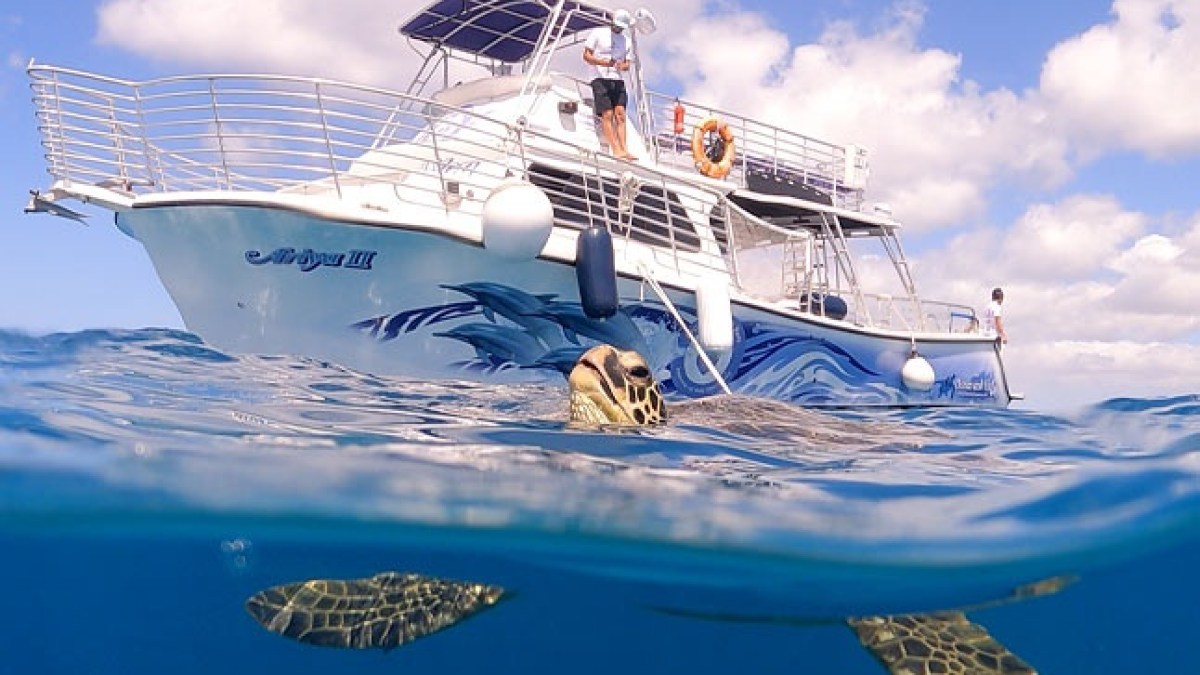 a blue and white boat sitting next to a body of water
