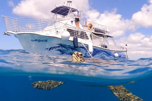 a blue and white boat sitting next to a body of water