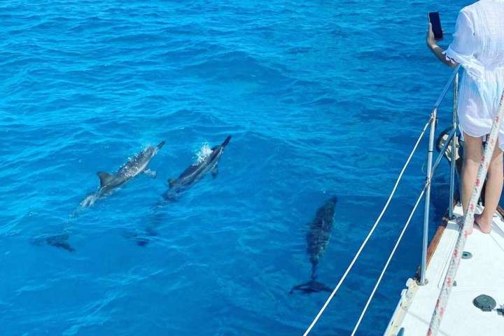 a group of people standing next to a body of water