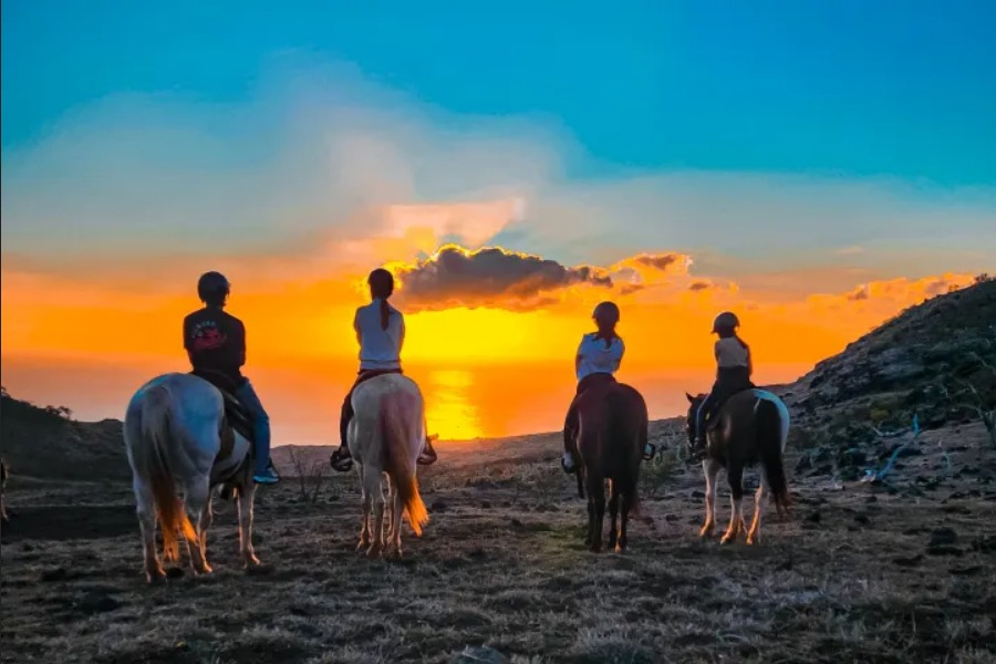 Palehua Horseback Riding