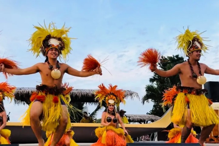 Dancers in traditional costumes performing a cultural dance with palm trees in the background.