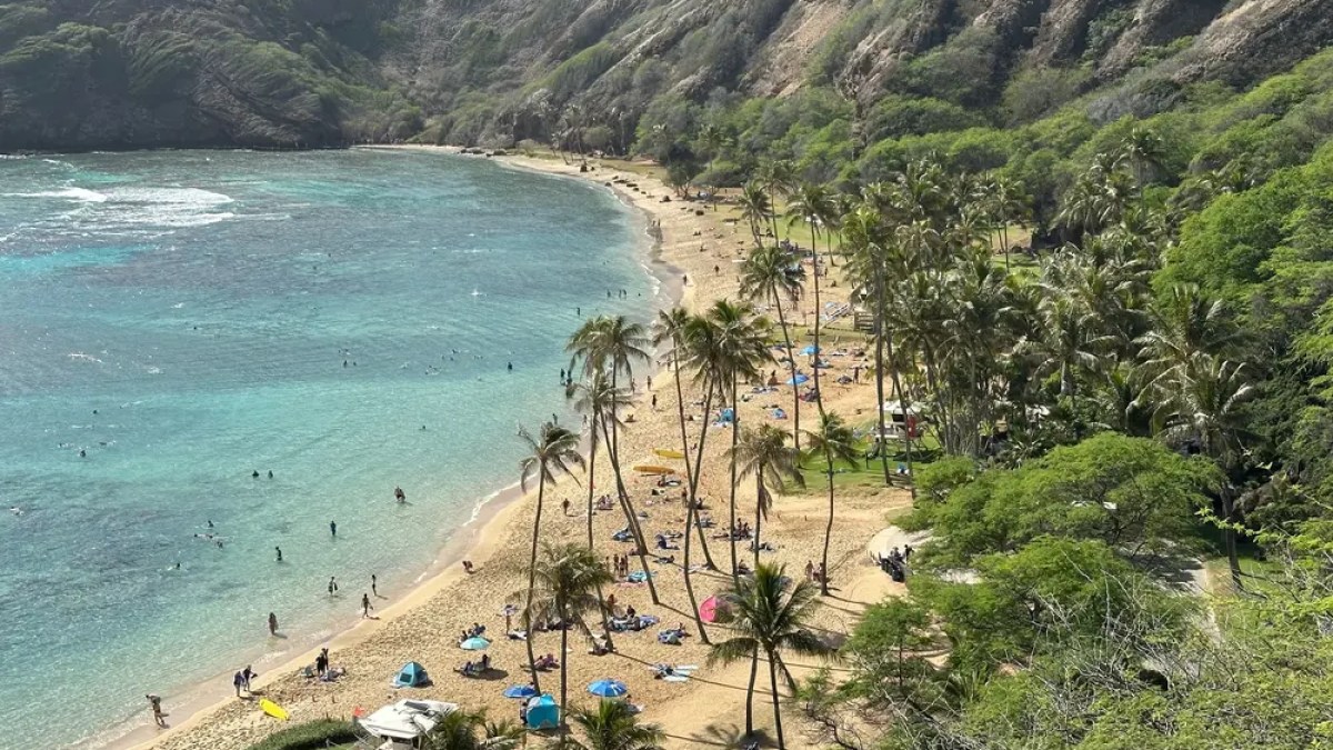 Aerial view of a beach lined with palm trees, people, and turquoise water.