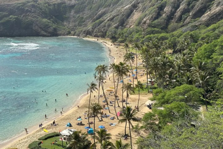 Aerial view of a beach lined with palm trees, people, and turquoise water.
