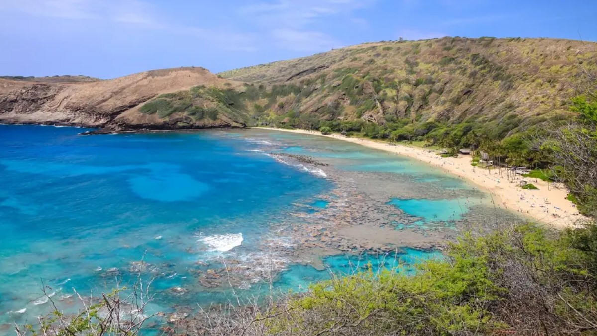 Scenic view of a beach with clear blue water and surrounding green hills.