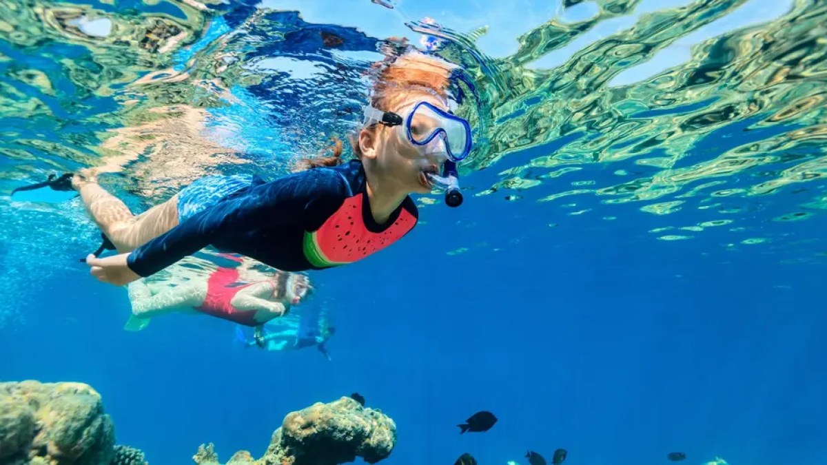 Person snorkeling in clear blue water near coral reefs.