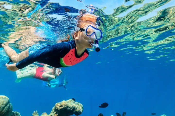 Person snorkeling in clear blue water near coral reefs.