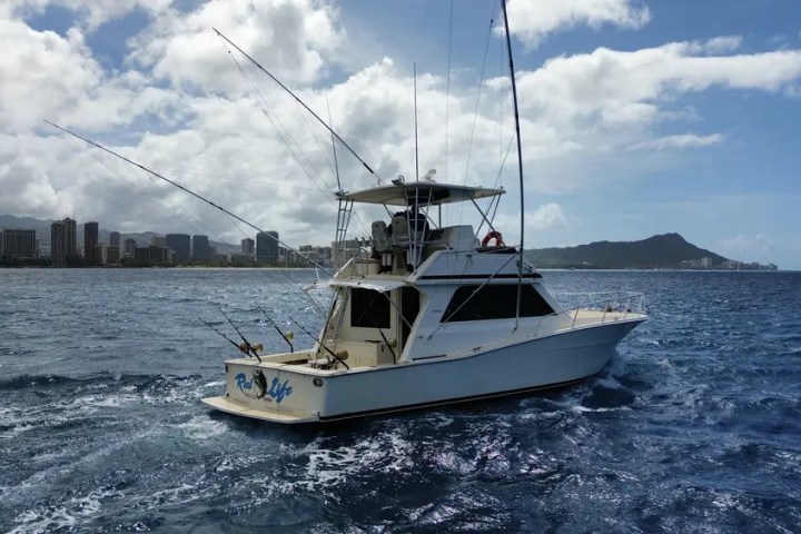 Fishing boat on ocean with city skyline and mountain in background.