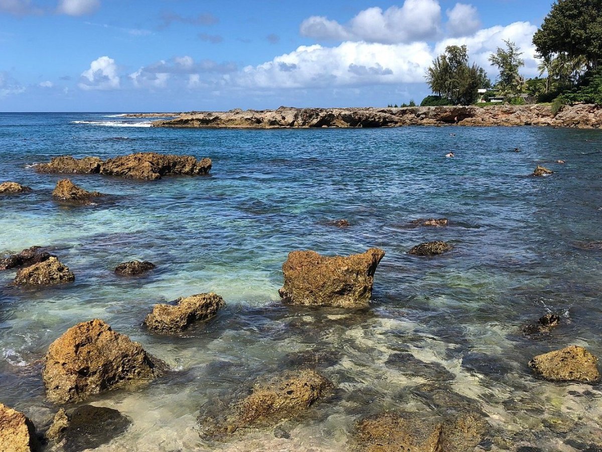 Rocky shoreline with clear blue water and a distant tree-lined coast.