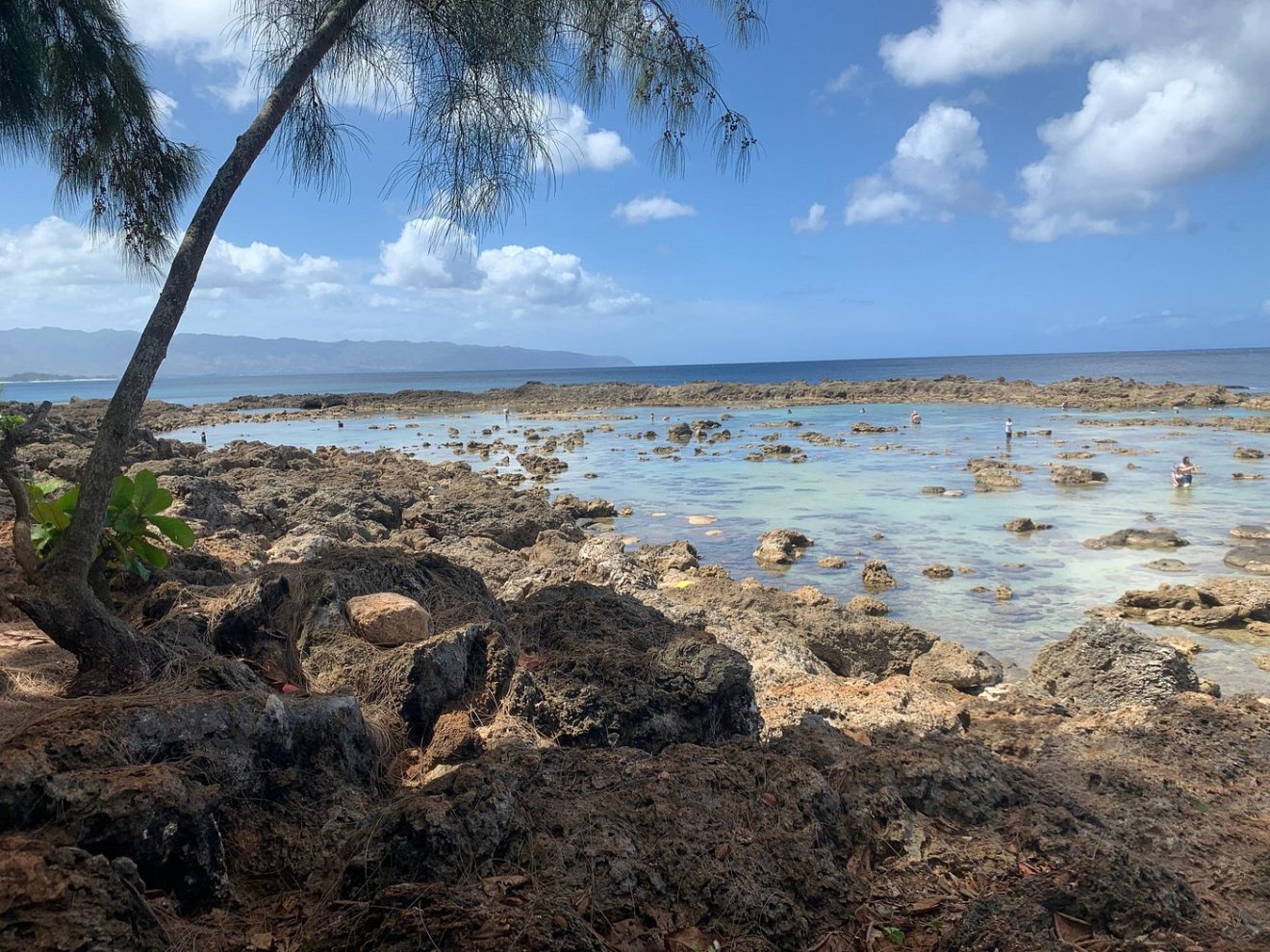 Rocky coastline with clear blue sky and distant horizon.