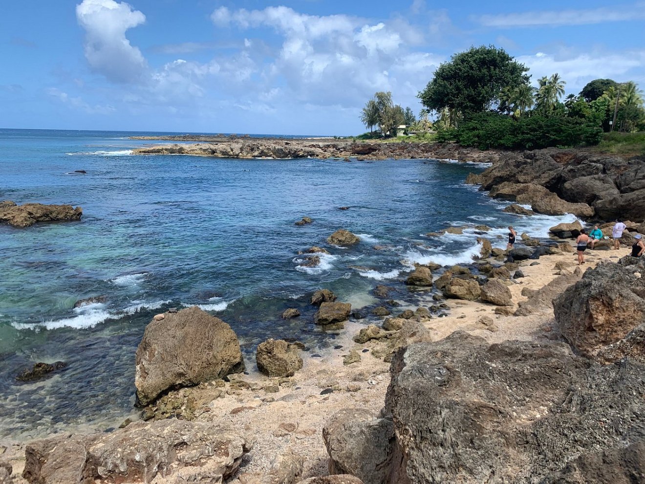 Rocky beach with clear blue water and scattered greenery under a sunny sky.